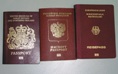 Какими бывают паспорта? 